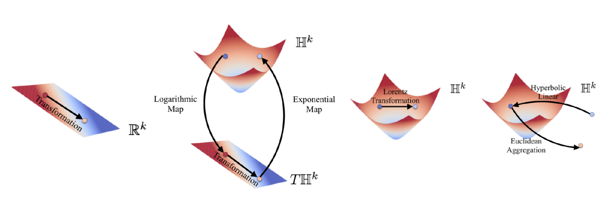 hyperbolic_visualization.png